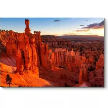 Картина Picsis 4627-10910423