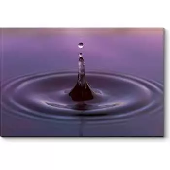 Картина Picsis 5738-11022240