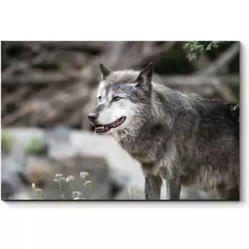 Картина Picsis 3728-10465103