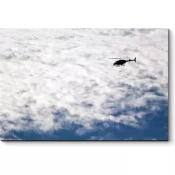 Картина Picsis 1611-10392283