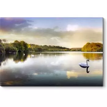 Картина Picsis 3313-9779298