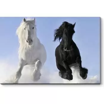 Картина Picsis 4973-10765280