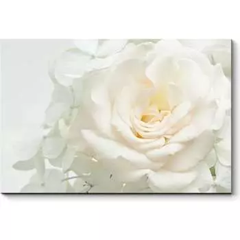 Картина Picsis 2823-10796961