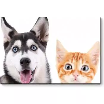 Картина Picsis 3704-10094254