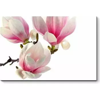 Картина Picsis 4550-10028048