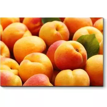 Картина Picsis 1087-11043578