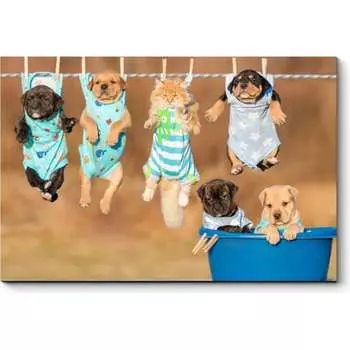 Картина Picsis 3654-10070311