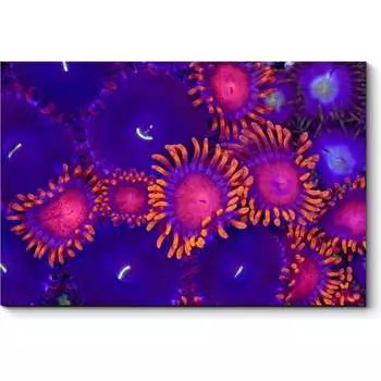 Картина Picsis 917-10455858