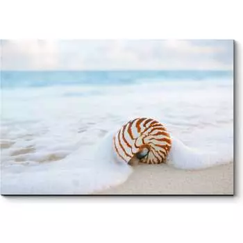 Картина Picsis 4952-10762106