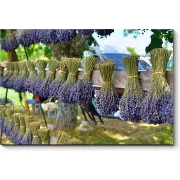 Картина Picsis 5874-11110187