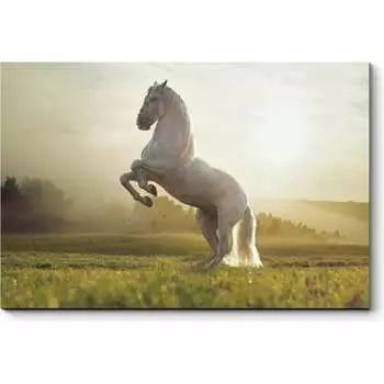 Картина Picsis 4879-10924037