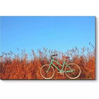 Картина Picsis 5549-10974677