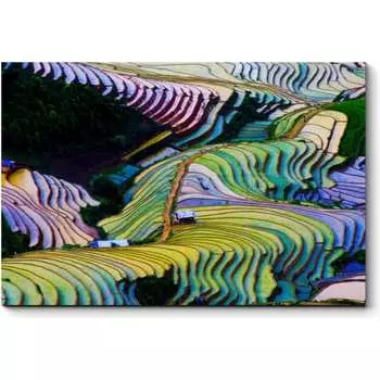 Картина Picsis 6018-13145189