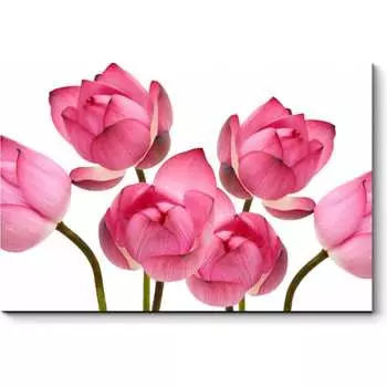 Картина Picsis 6100-13096673