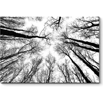 Картина Picsis 2617-11538824