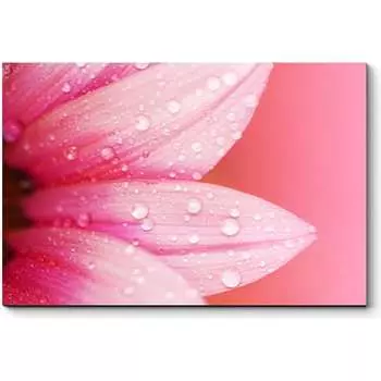 Картина Picsis 2440-10183169