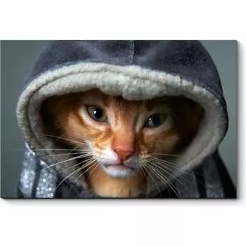 Картина Picsis 3632-10066984