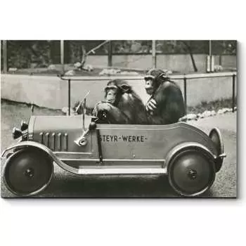 Картина Picsis 4773-10491021