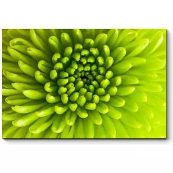 Картина Picsis 2414-9900558