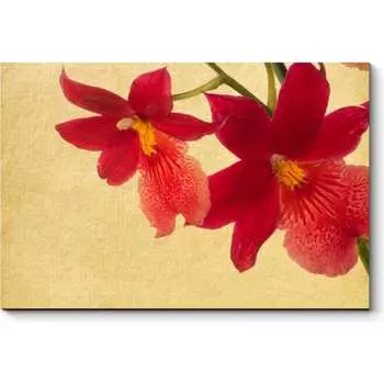 Картина Picsis 4576-10035455