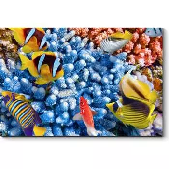 Картина Picsis 962-10484803