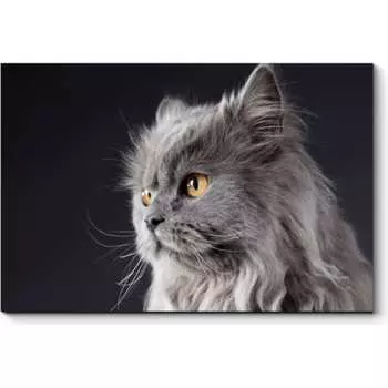 Картина Picsis 3651-10069569