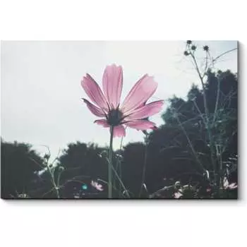 Картина Picsis 2806-10794745