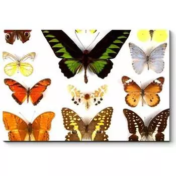 Картина Picsis 878-10446763