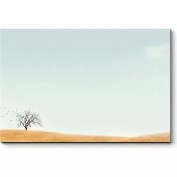 Картина Picsis 6241-13209384