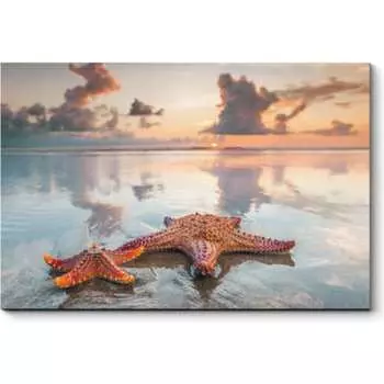 Картина Picsis 4735-10382091