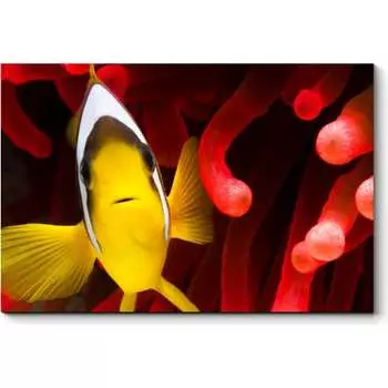 Картина Picsis 915-10455483