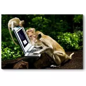 Картина Picsis 969-10486777