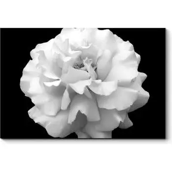 Картина Picsis 2602-10503252