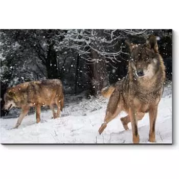 Картина Picsis 3740-9845787