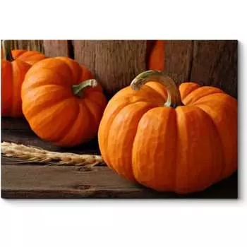 Картина Picsis 1702-11077811