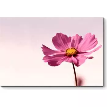 Картина Picsis 2809-10795257