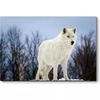 Картина Picsis 3741-9845995