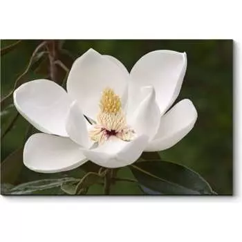 Картина Picsis 701-10405023