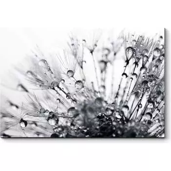 Картина Picsis 2601-10502898