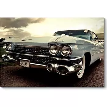 Картина Picsis 5705-10999964