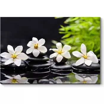 Картина Picsis 5957-13179293