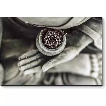 Картина Picsis 5670-11017120