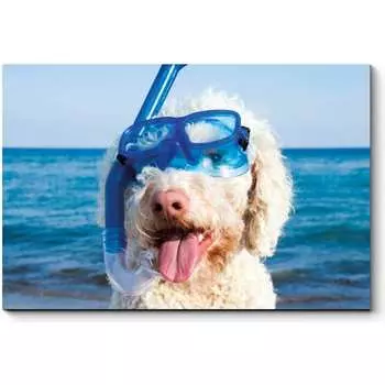 Картина Picsis 3702-10091264