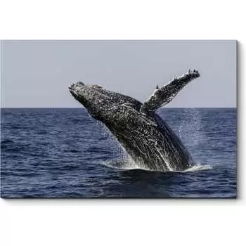 Картина Picsis 953-10482517