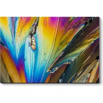 Картина Picsis 3561-9874555