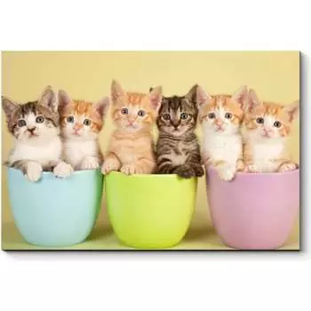 Картина Picsis 3639-9807274