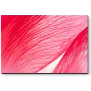 Картина Picsis 2430-11680266