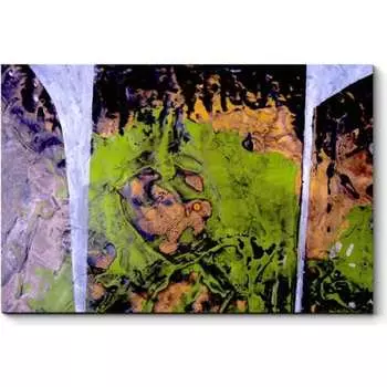 Картина Picsis 3831-10469089