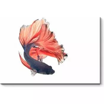 Картина Picsis 918-10456212