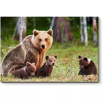 Картина Picsis 776-10440905